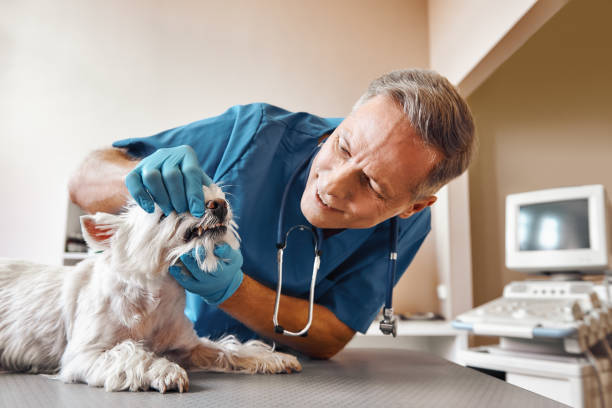 Best Emergency Dental Surgery in Richnd, MO